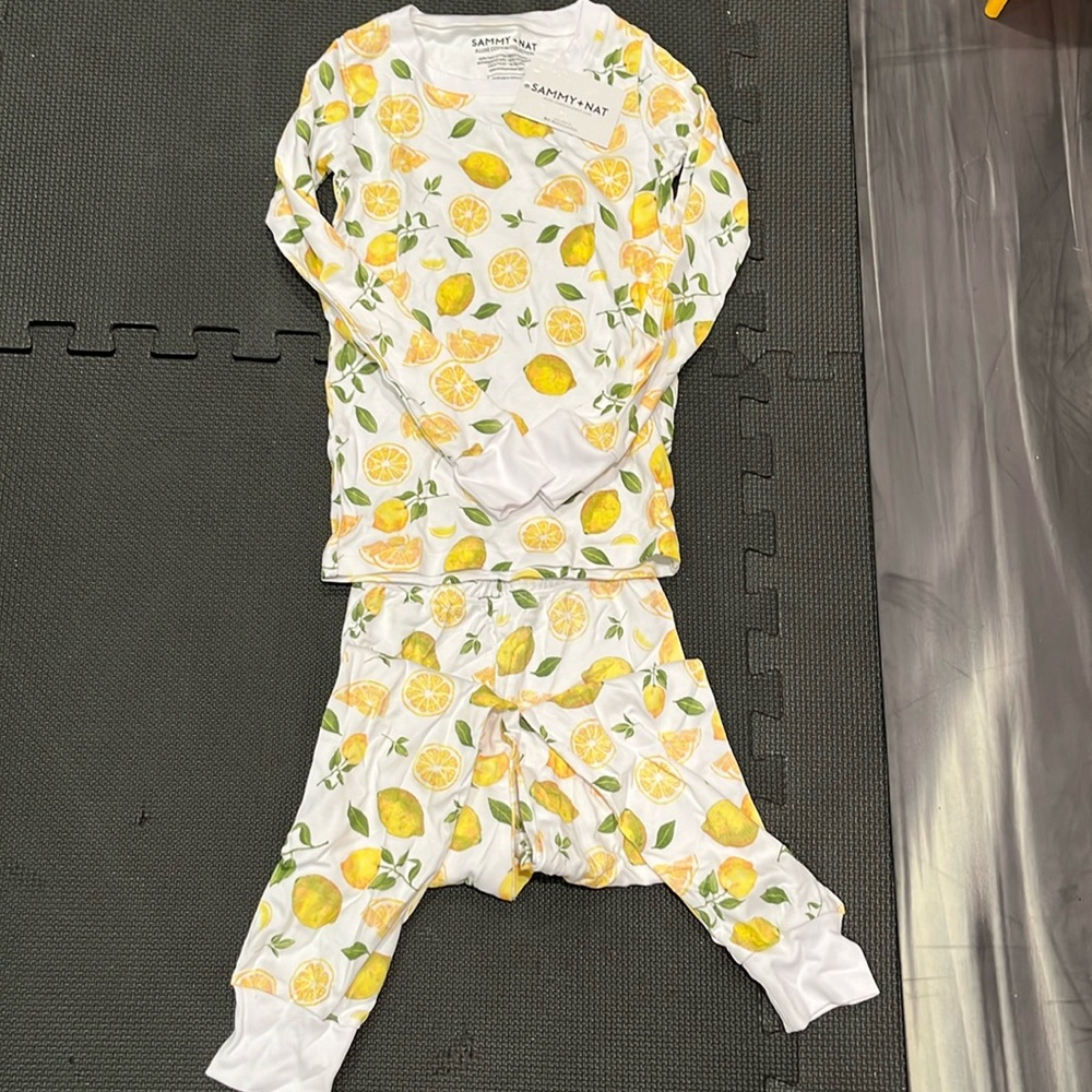 NEVER WORN Sammy + Nat Two Piece Pajama Set